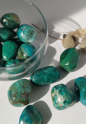 Chrysocolle