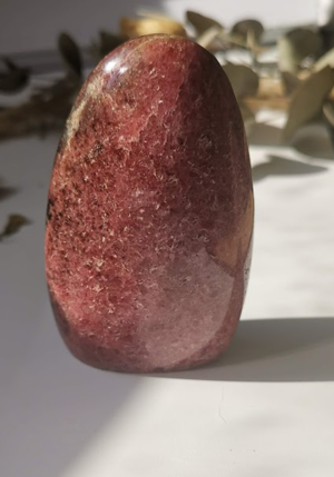 Forme libre de rhodonite de Madagascar